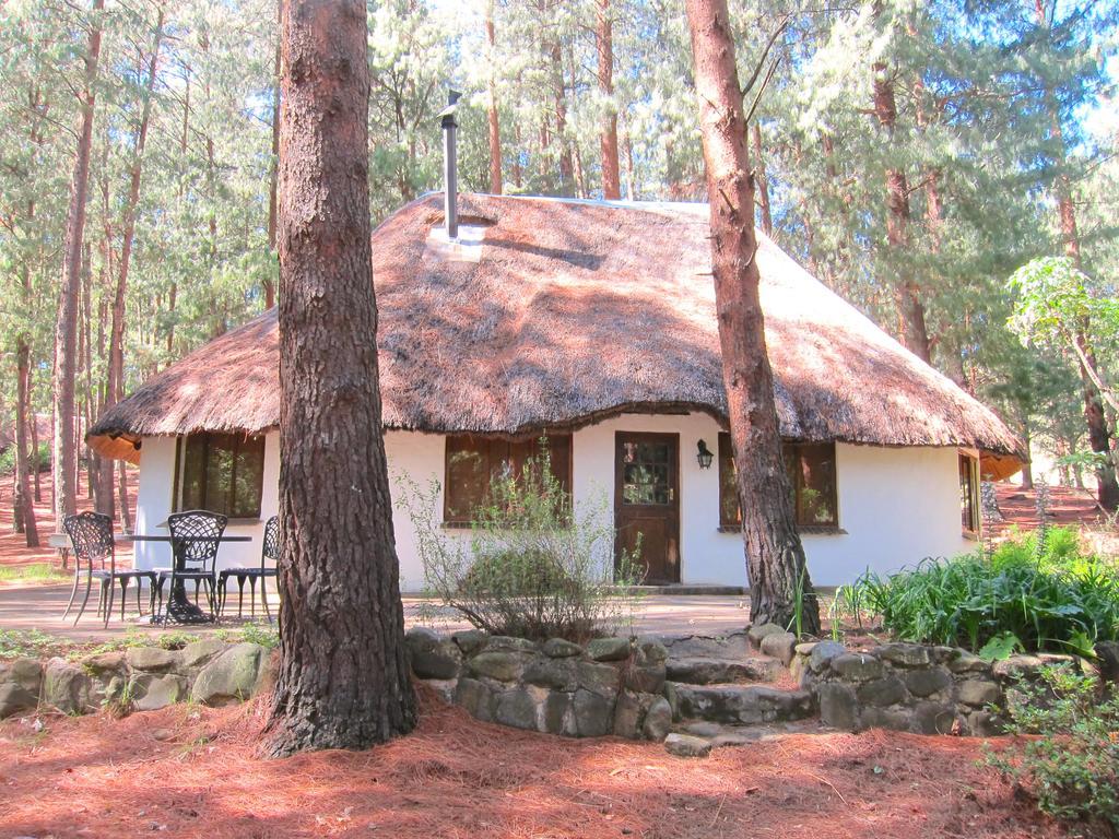 Giantscup Wilderness Reserve Underberg Εξωτερικό φωτογραφία