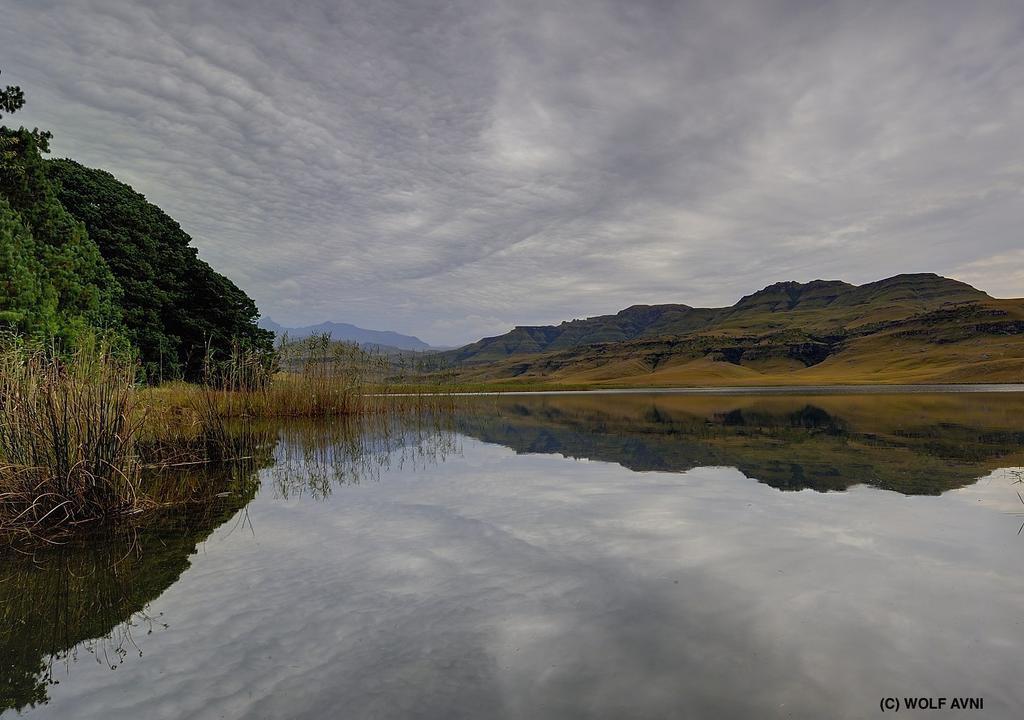 Giantscup Wilderness Reserve Underberg Εξωτερικό φωτογραφία