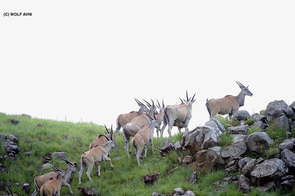 Giantscup Wilderness Reserve Underberg Εξωτερικό φωτογραφία