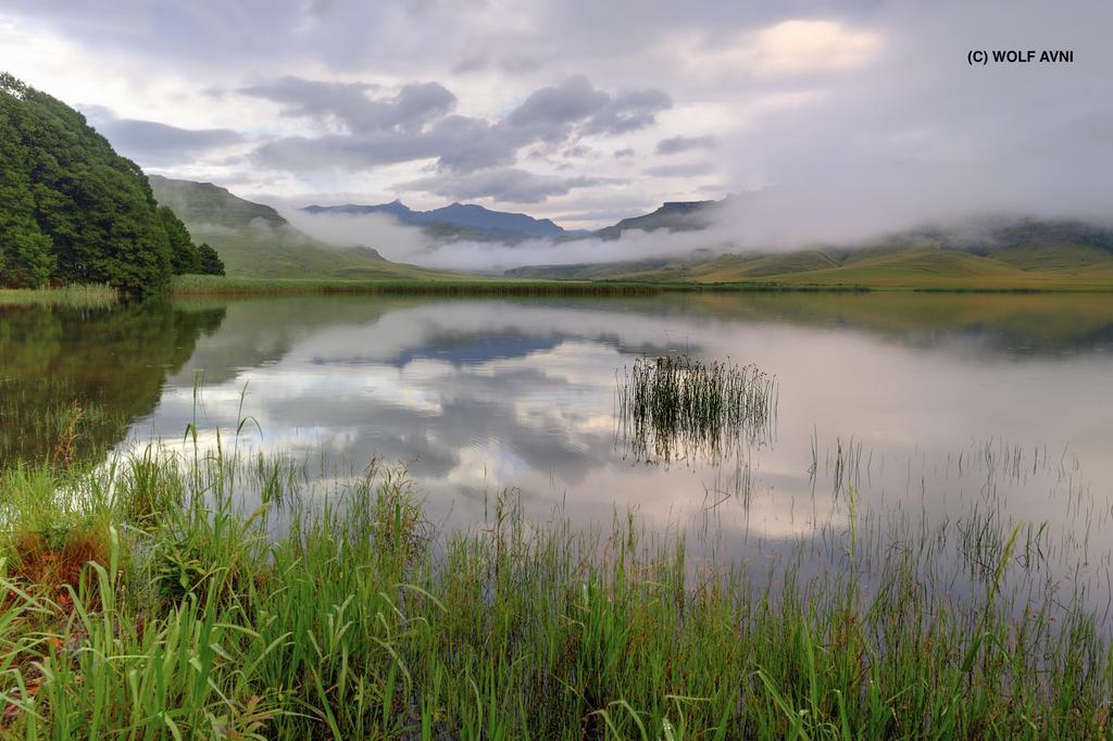 Giantscup Wilderness Reserve Underberg Εξωτερικό φωτογραφία